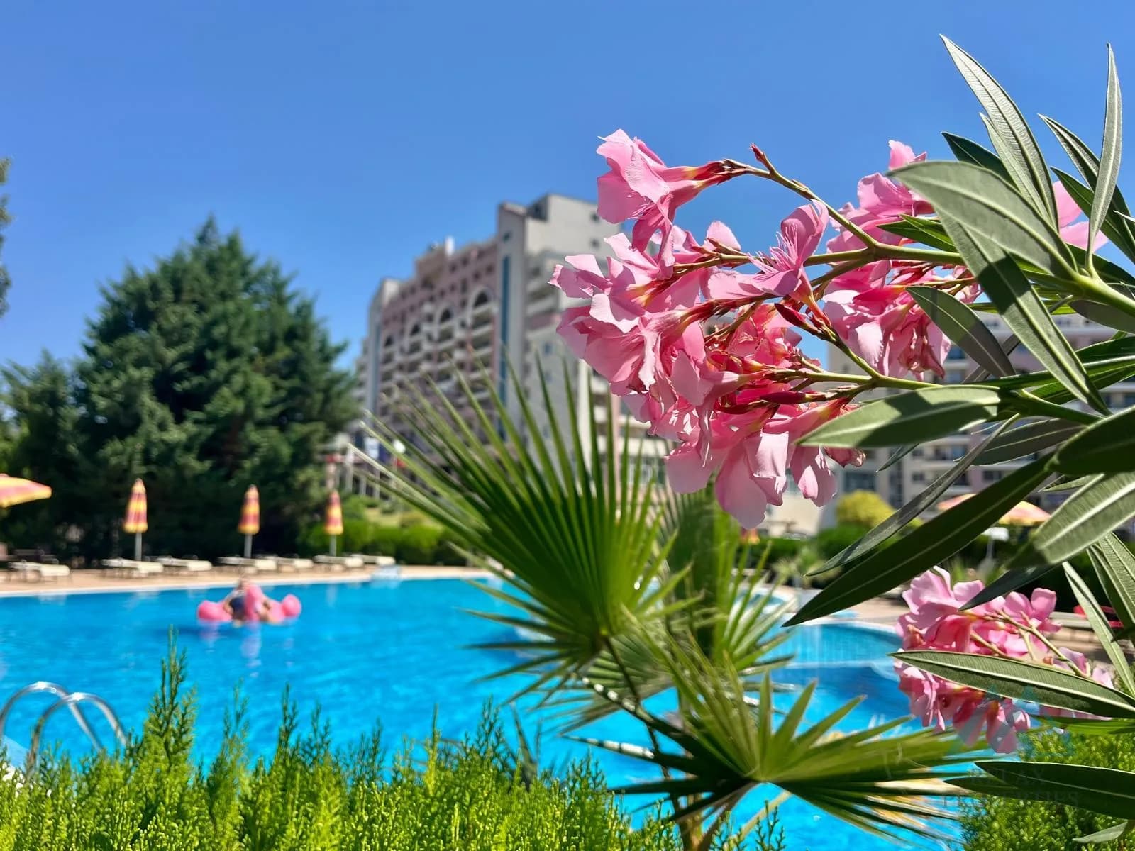 Priestranný 2-izbový apartmán len 100m od pláže, Sunny Beach Plaza, Slnečné pobrežie, Bulharsko - 4