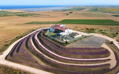 Rodinné vinárstvo v Pomorí, Bulharsko. Keď vás omrzí ležať len na pláži.